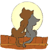 chat