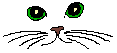Yeux verts clignotants