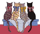 chat