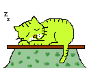chat
