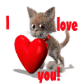 chat
