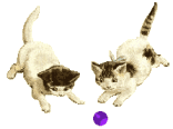 chat
